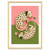 Yin And Yang Dalmatians thumbnail