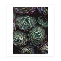 Succulent Plant Ii (Print Only)