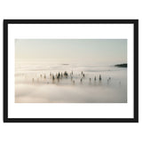 Misty Peaks: Pine Forest Above the Clouds thumbnail