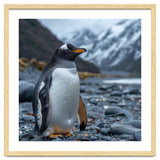 Gentoo Penguin Standing On A Rocky Shore thumbnail