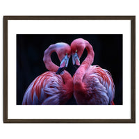 Two Pink Flamingos Forming A Heart Shape