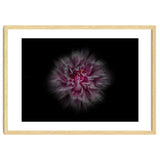 Backyard Flowers No 116 Color Flow Version thumbnail