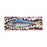 Sardine (Print Only) thumbnail