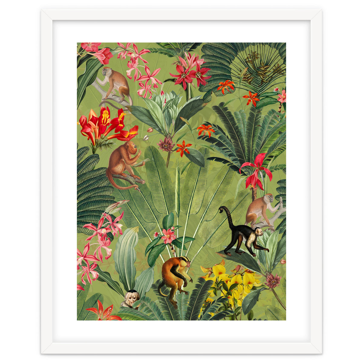 Monkeys In Tropical Jungle Paradise