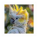 Yellow Crested Cockatoo Bird Close Up Portrait (Print Only) thumbnail