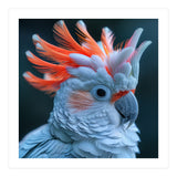 Cockatoo Bird With Orange Crest Portrait (Print Only) thumbnail