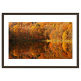 Autumn Reflections thumbnail