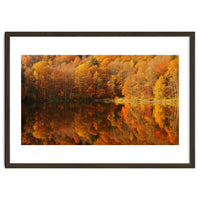 Autumn Reflections