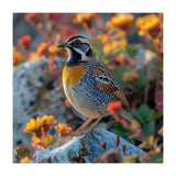 Bird Perched On A Rock With Flowers (Print Only) thumbnail