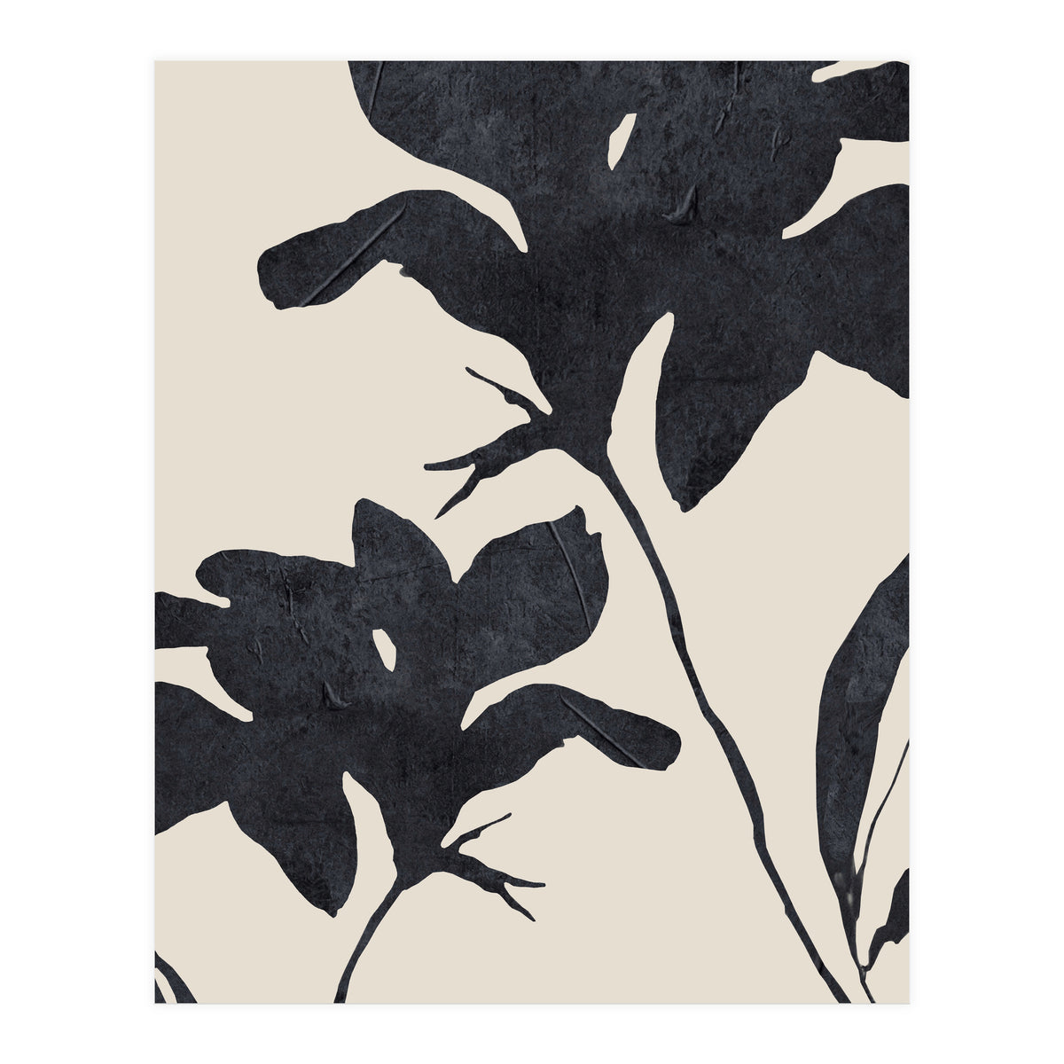 Shadowed Blooms (Print Only)