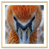 Close Up Of A Pelican's Beak With Water Droplets thumbnail