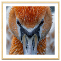 Close Up Of A Pelican's Beak With Water Droplets
