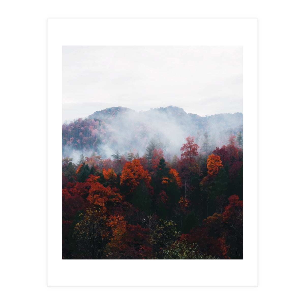 Fog (Print Only)