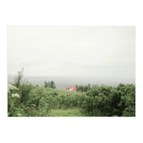 Red Roof house in between the summer green field - Iceland (Print Only) thumbnail