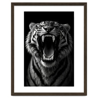 Roaring Tiger portrait