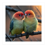 Two Lovebirds Perched On A Branch At Sunset (Print Only) thumbnail