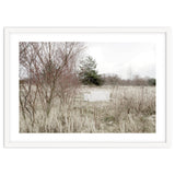 Abandoned Sofa in the middle of nowhere thumbnail