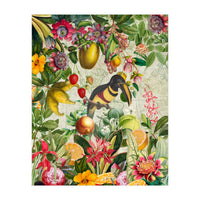 Toucan vintage jungle  (Print Only)