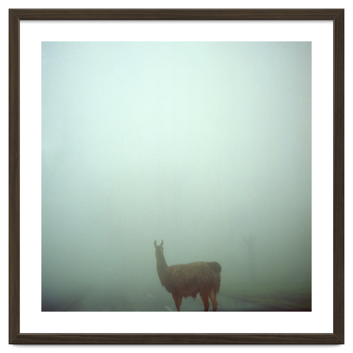 Silence of breath - 04