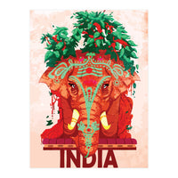 Captivating India (Print Only)
