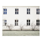 Small trees in between the windows  (Print Only) thumbnail