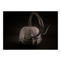 Gourds No 14 (Print Only)