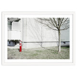Red light pole and Tree shadow on the wall thumbnail