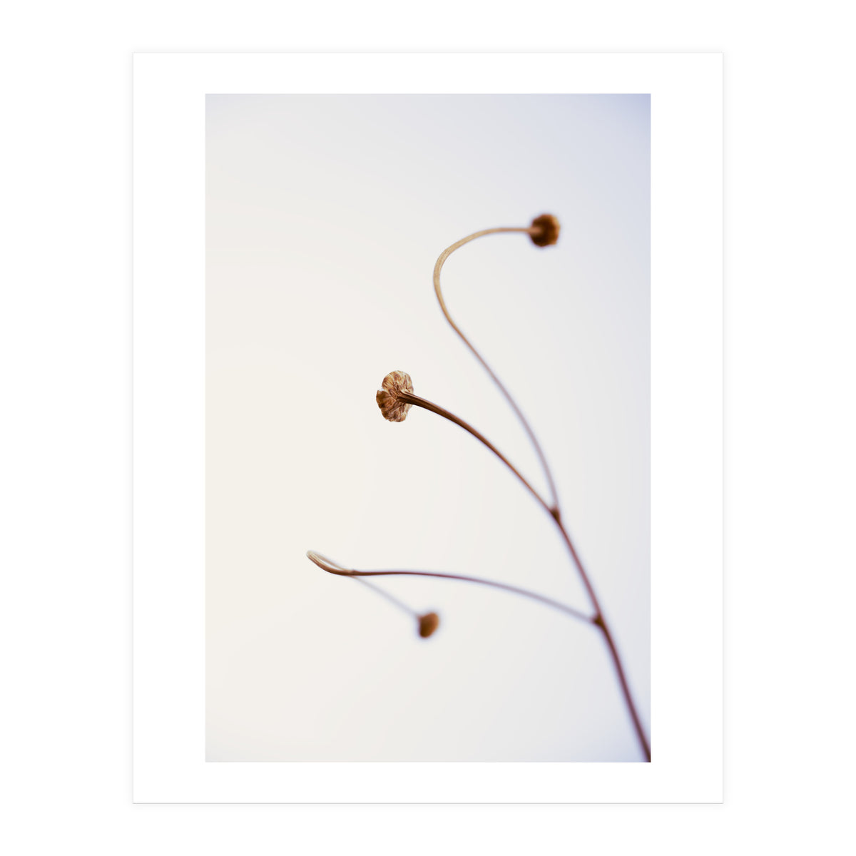 In light of current events VIII (Print Only)