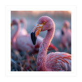 Close Up Of A Pink Flamingo Bird In Natural Light (Print Only) thumbnail