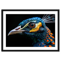 Close Up Of A Peacock Bird Head Eye