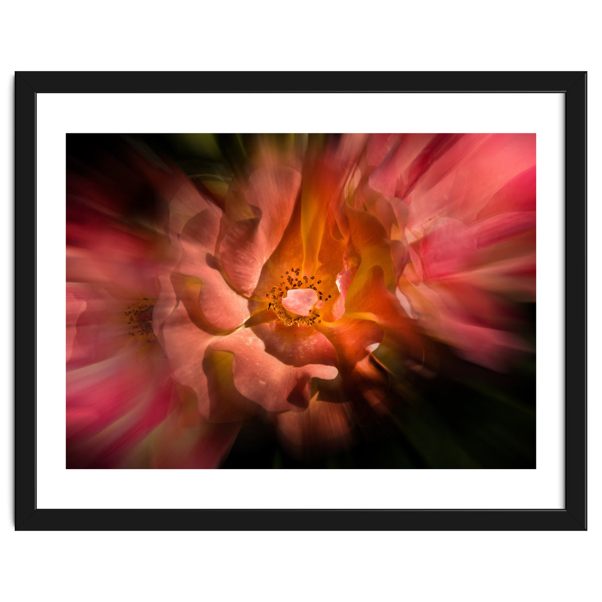 Backyard Flowers No 40 Color Flow Version