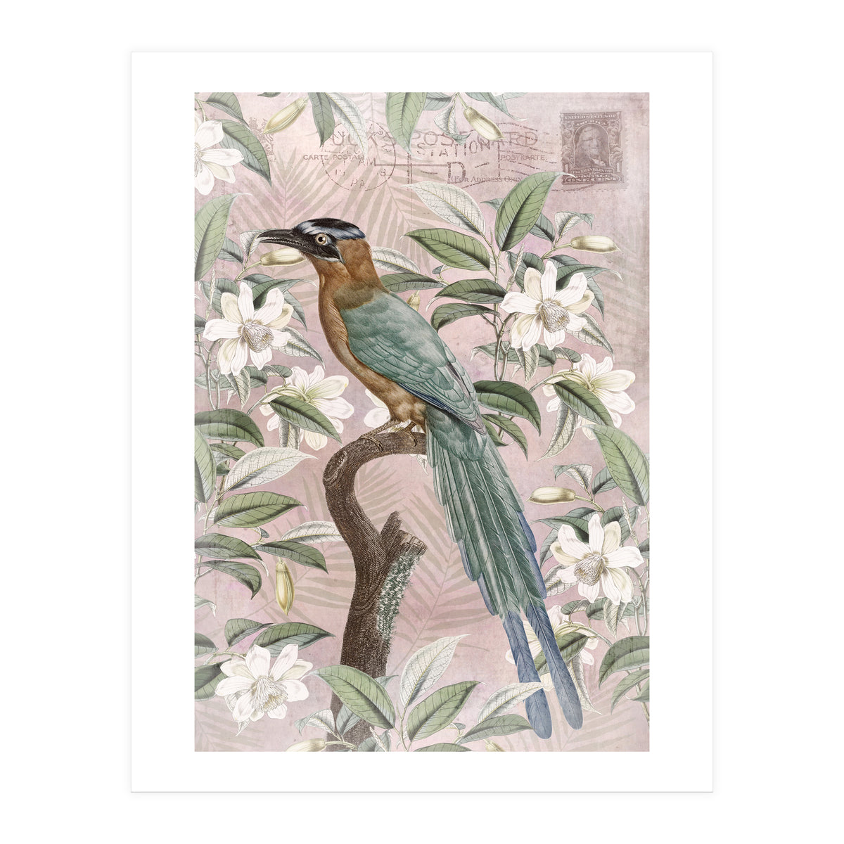 Exotic Bird (Print Only)