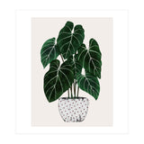 Philodendron Plant (Print Only) thumbnail