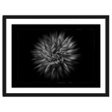 Backyard Flowers In Black And White No 20 Flow Version with Border thumbnail