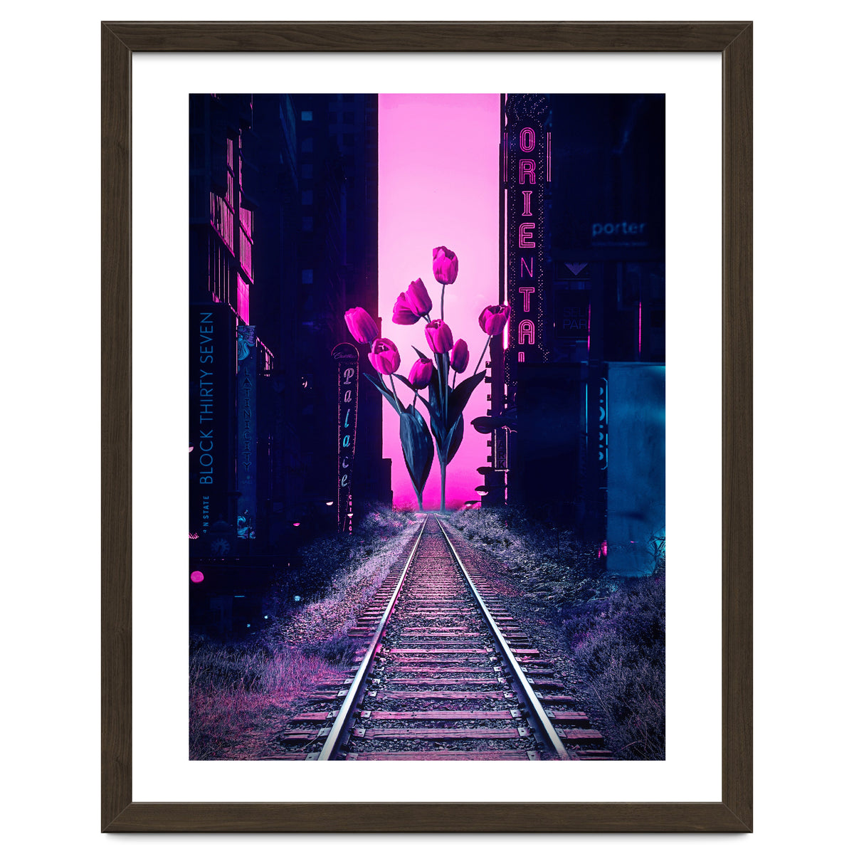 red tulips in the middle of the city