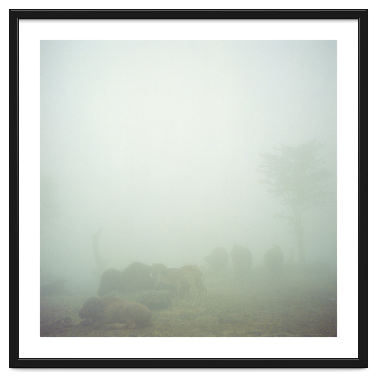 Silence of breath - 03