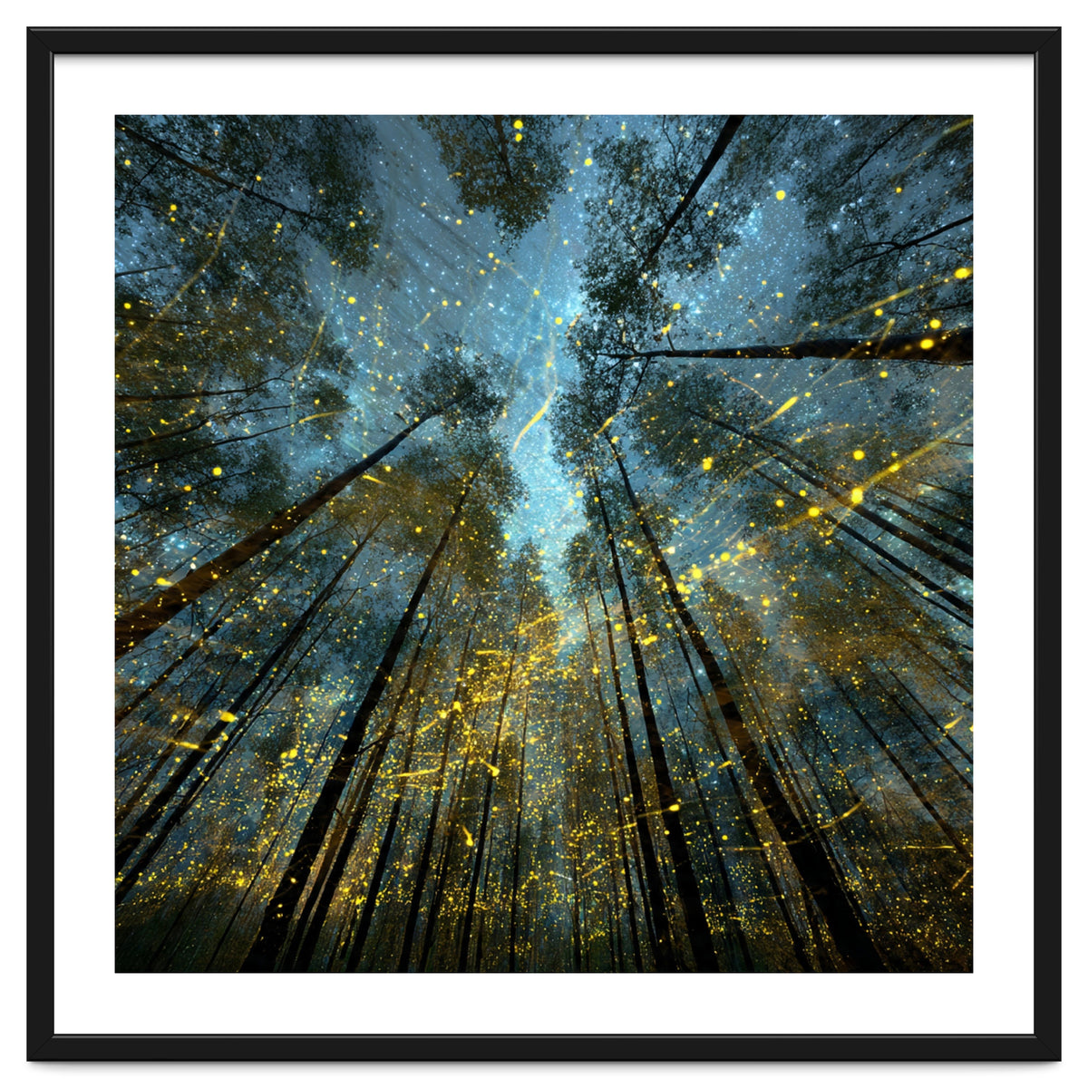 Enchanted Night Forest with Glowing Fireflies