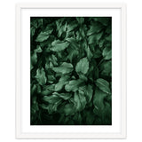New Foliage Green Ii thumbnail