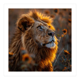 Majestic Lion In A Field Of Sunflowers (Print Only) thumbnail