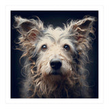 Old Dog 07 (Print Only) thumbnail
