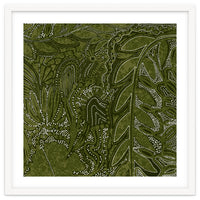 Forest Dense Foliage