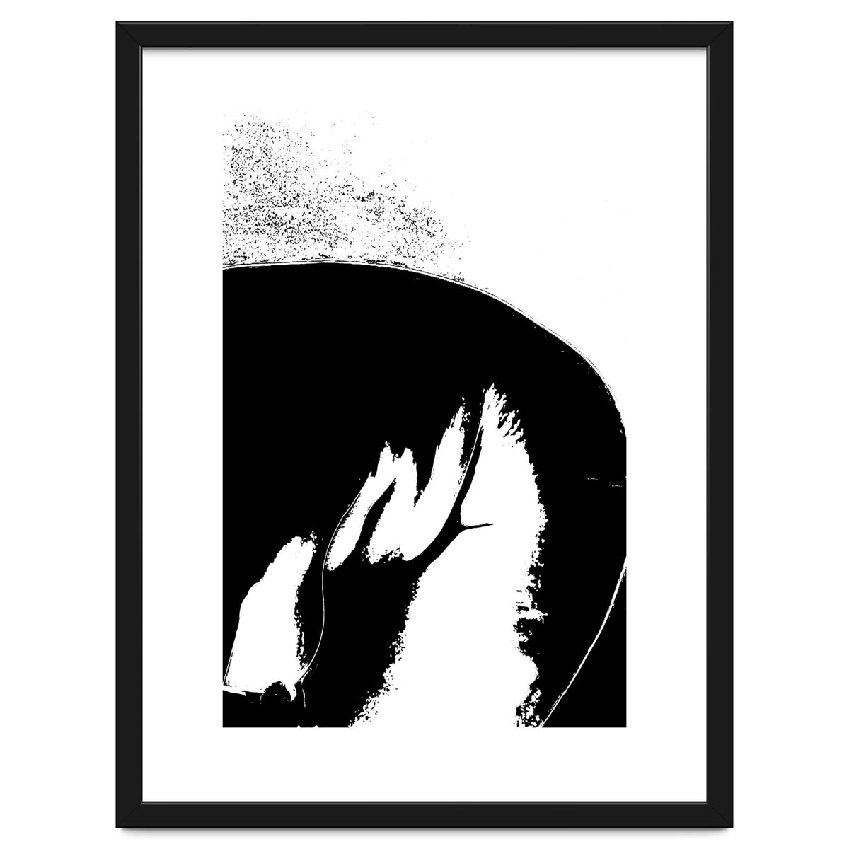 Black & White Study III