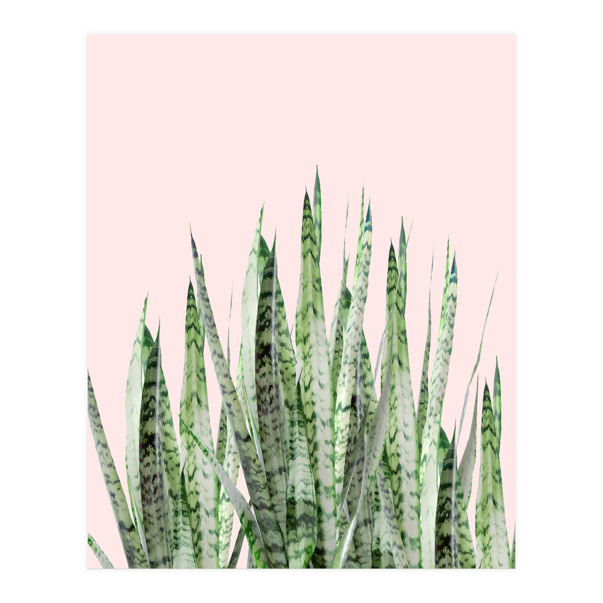 Botanical Balance (Print Only)