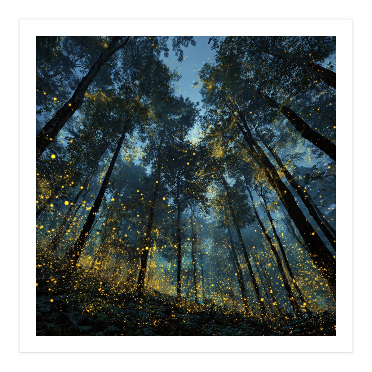 Celestial Forest Canopy with Swirling Golden Fireflies and Deep Twilight Blue Sky Digital Art (Print Only)