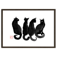 4 Black Cats