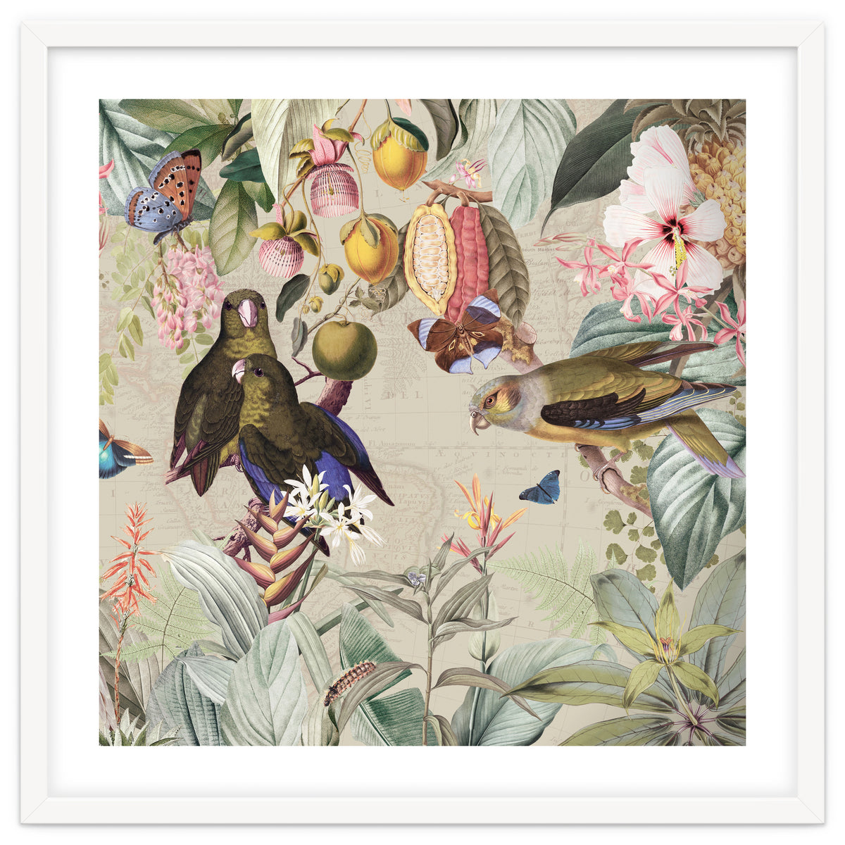 Colorful Parrots And Butterflies In Flower And Fruit Tropical Jungle