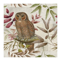 Autumn Owl (Print Only)