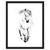 Runninh Ghorse In Water thumbnail