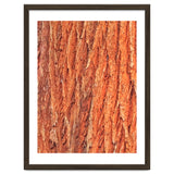 Tree Bark thumbnail