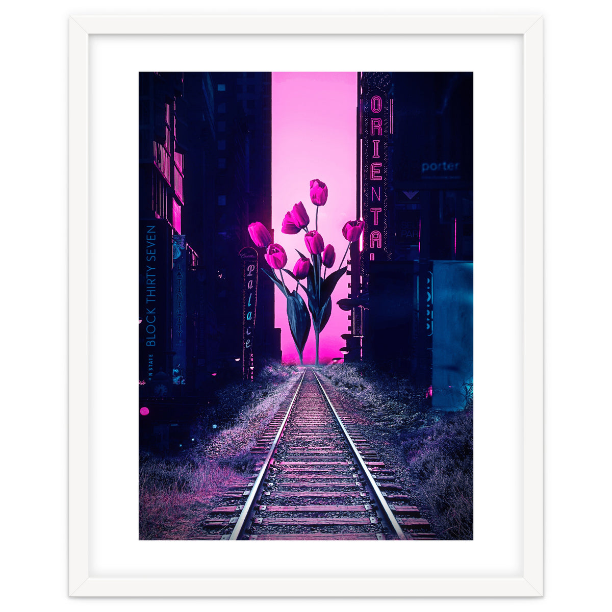 red tulips in the middle of the city